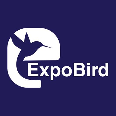 ExpoBird | Digital Marketing Agency in Pakistan logo