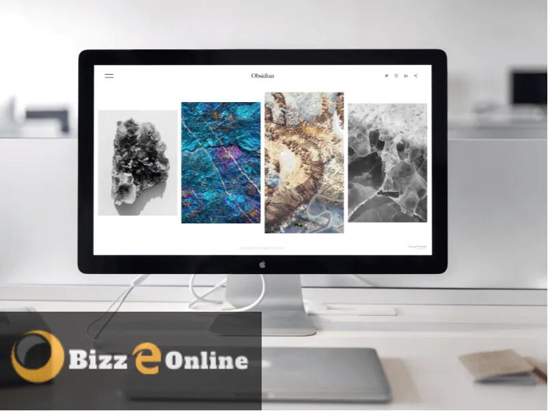 Bizzeonline008 cover