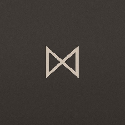 Handsome logo