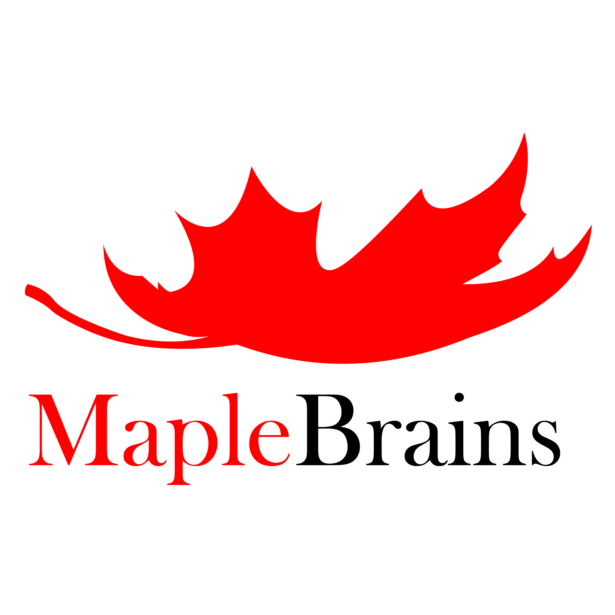 Maplebrains Technologies Inc