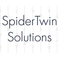 SpiderTwin Solutions logo