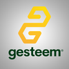 Gesteem logo