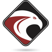 Cyber Struggle logo