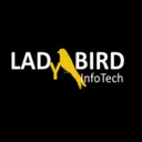 LadyBird InfoTech, LLC logo