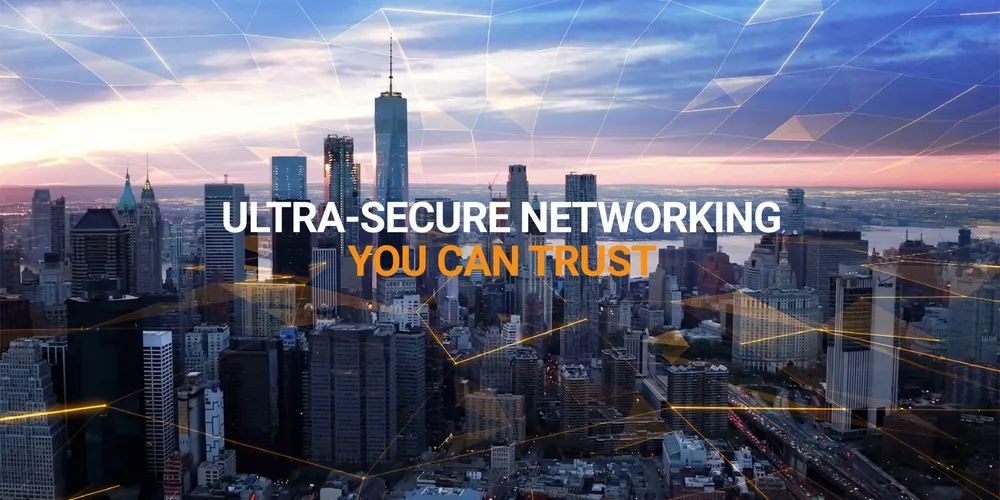 Dispersive Networks, Inc. cover