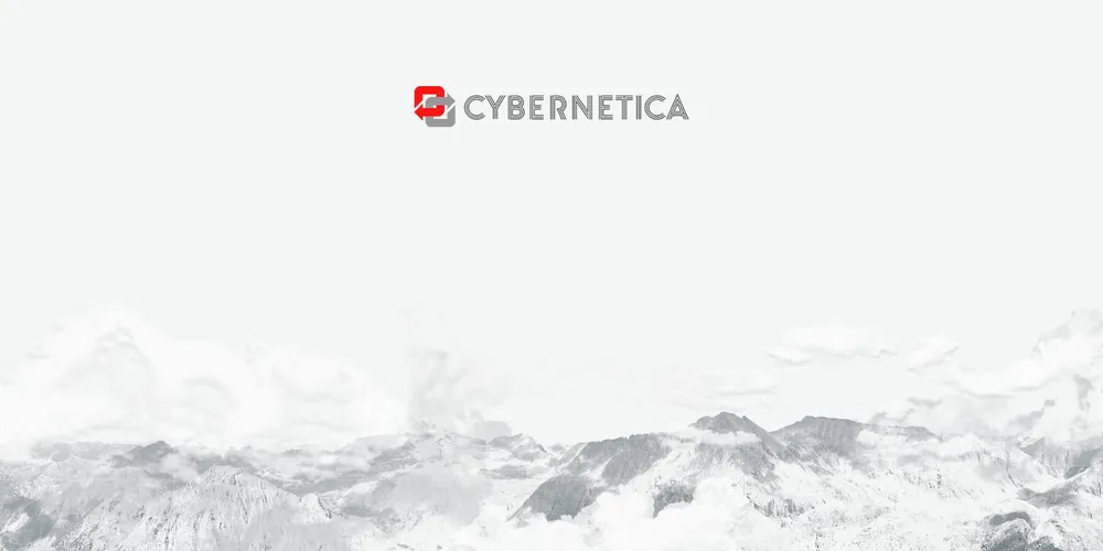 Cybernetica cover