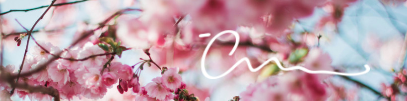 banner image