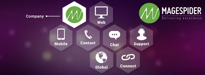 Magespider Infoweb Pvt. Ltd. cover