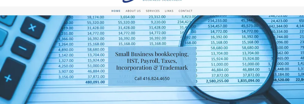 Accubiz Business Solution cover