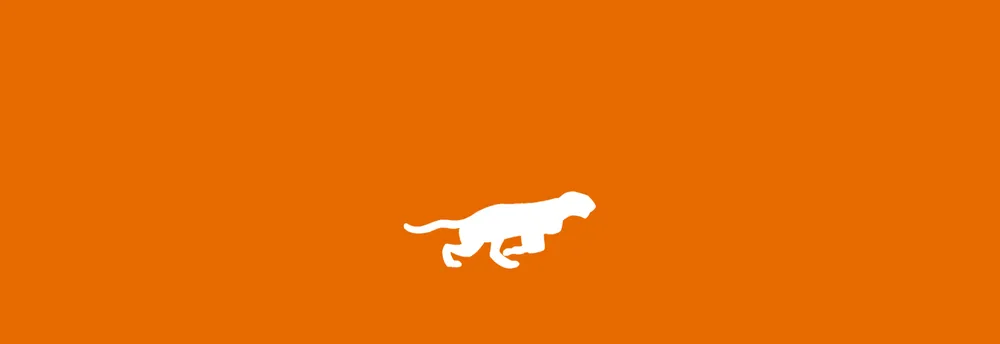 Acinonyx Web Agency cover