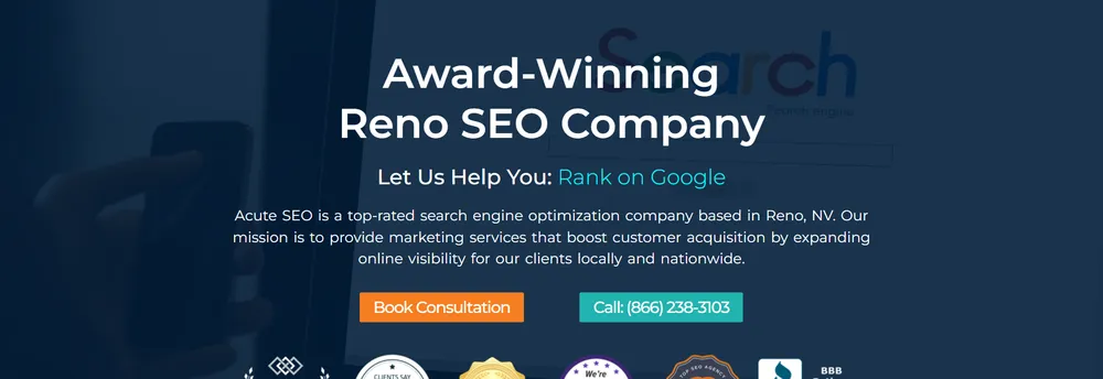 Acute SEO cover