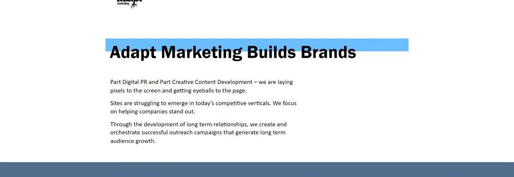 Adapt Marketing cover