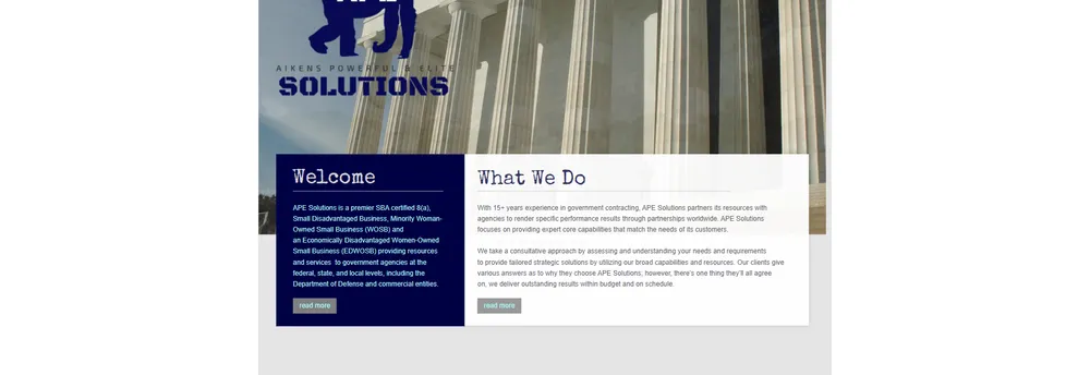 Aikens Powerful and Elite Solutions LLC cover