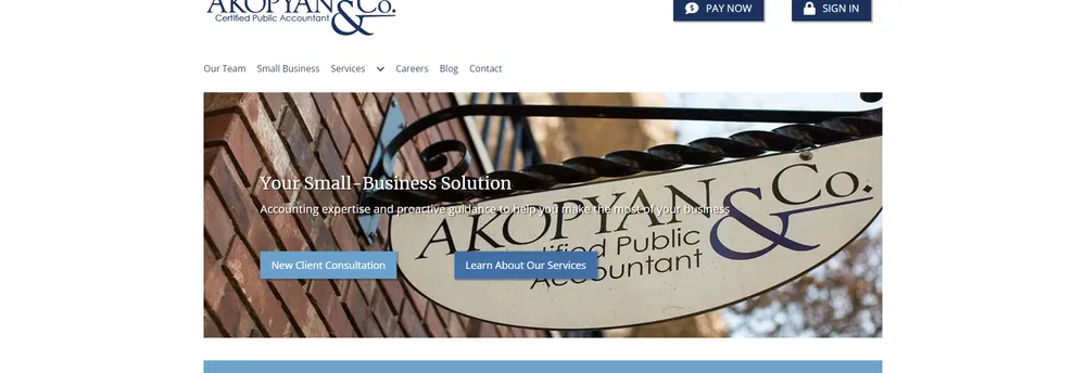 Akopyan & Company cover