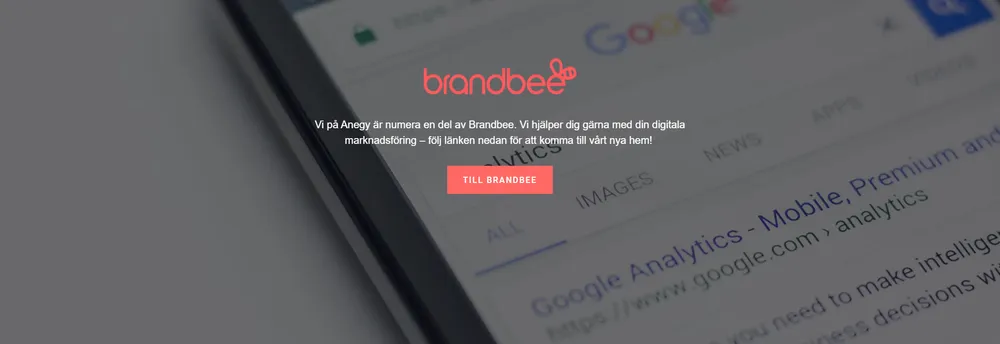 Anegy Online Marketing cover