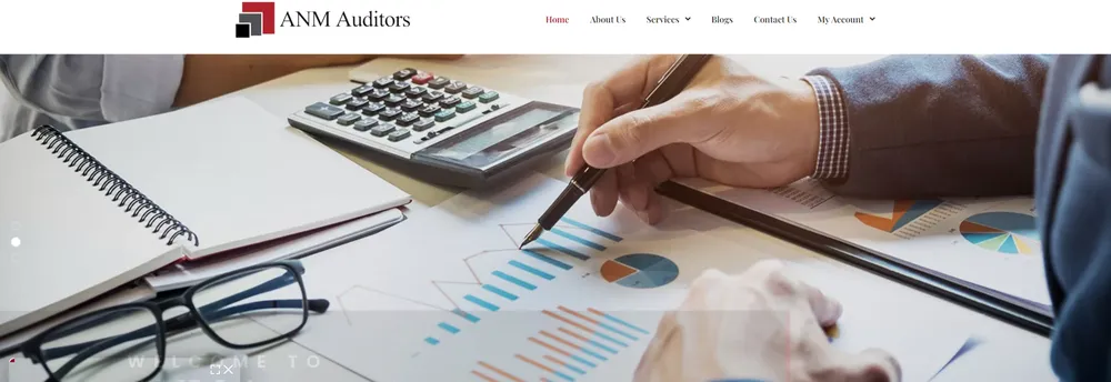 ANM Auditors cover