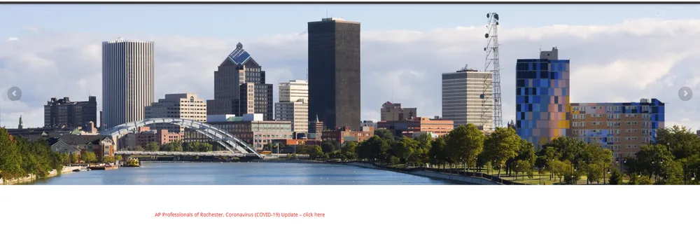 AP Professionals of Rochester cover