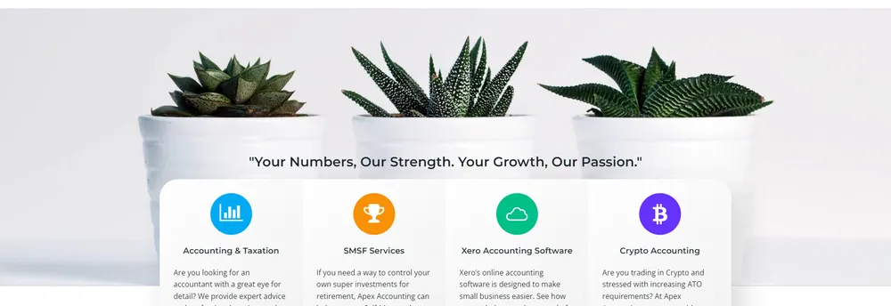 Apex Accounting Solutions cover