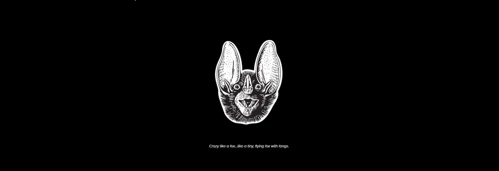 Batshit Crazy Ventures cover