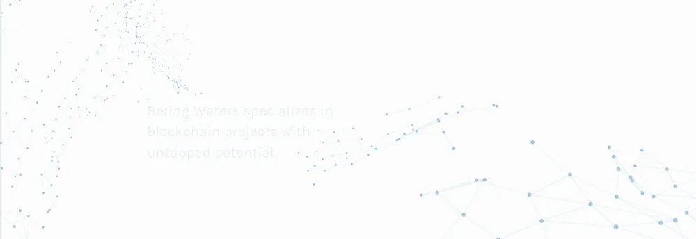 Bering Waters Ventures cover
