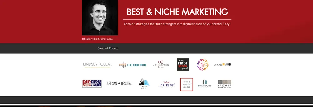 Best and Niche Marketing cover