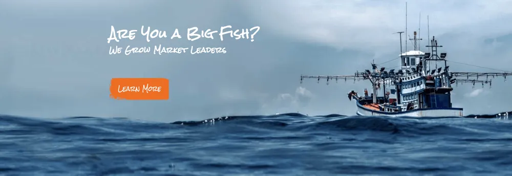 Big Fish Results cover