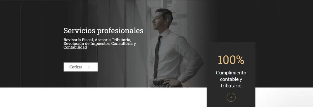 Big group Contadores Asesores cover