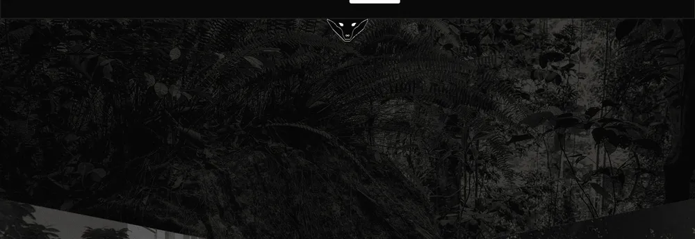 Big Jungle Propaganda cover