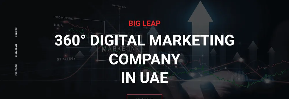 BigLeap cover