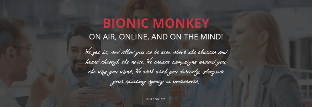 Bionic Monkey LLC cover