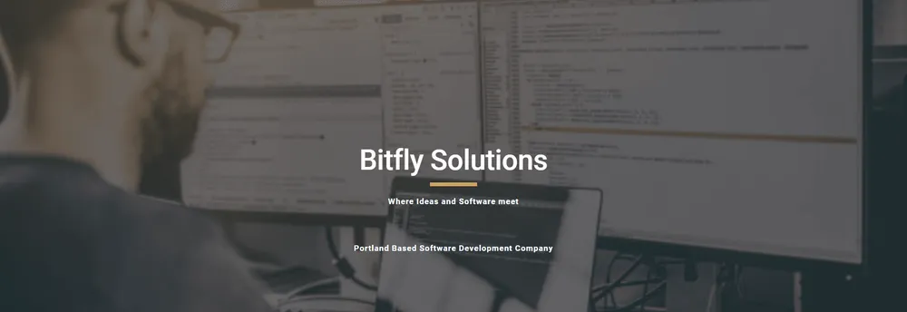 Bitfly Solutions LLC cover