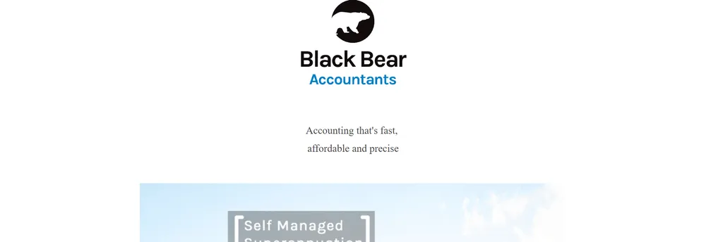 Black Bear Accountants cover