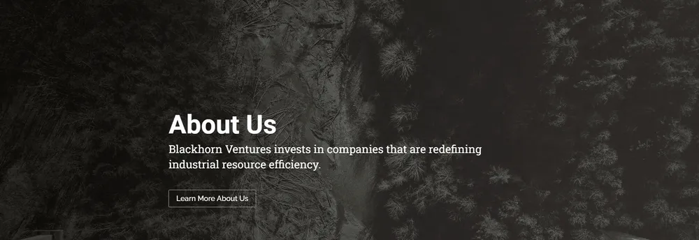 Blackhorn Ventures cover