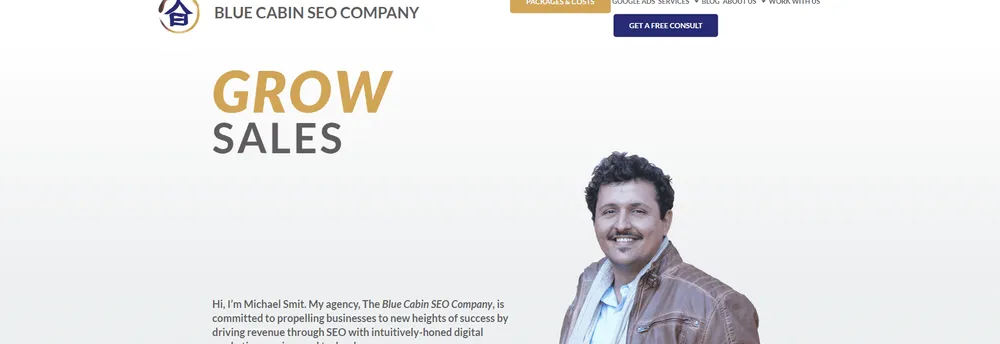 Blue Cabin SEO cover