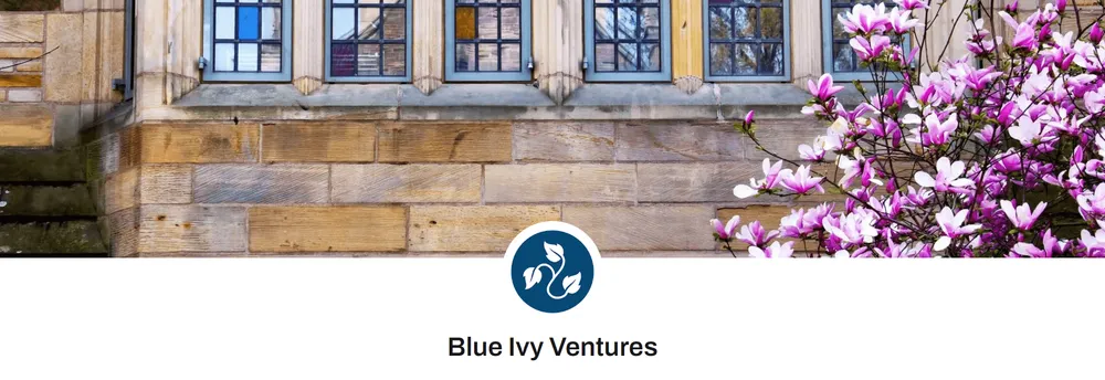 Blue Ivy Ventures cover