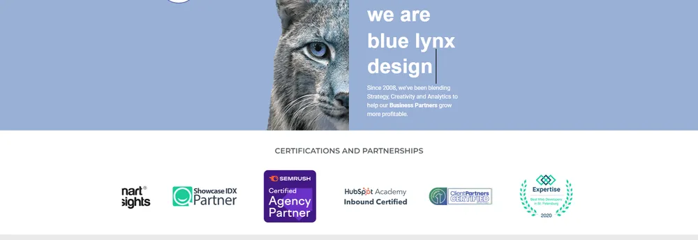 Blue Lynx Marketing, Inc. cover