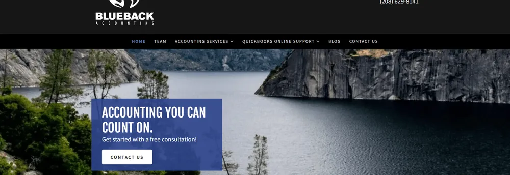 Blueback Accounting cover
