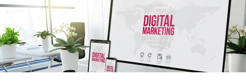 Bluemind Digital Marketing cover