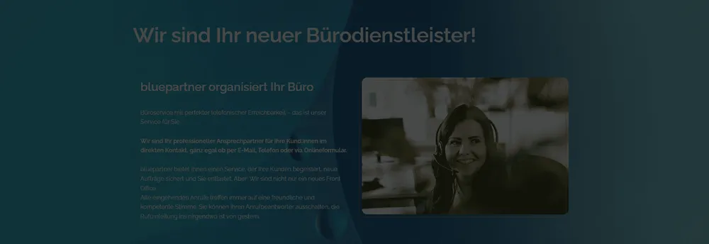 bluepartner GmbH cover
