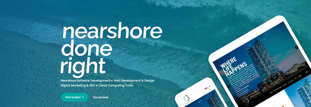 BlueTide Web Consulting cover