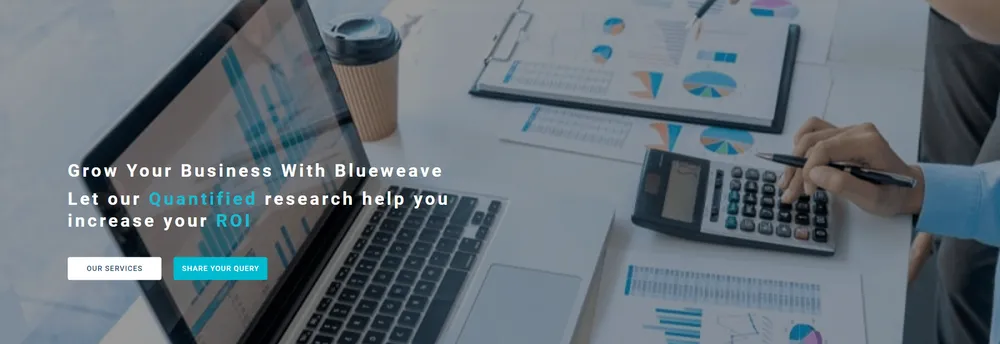 BlueWeave Consulting Pvt Ltd cover