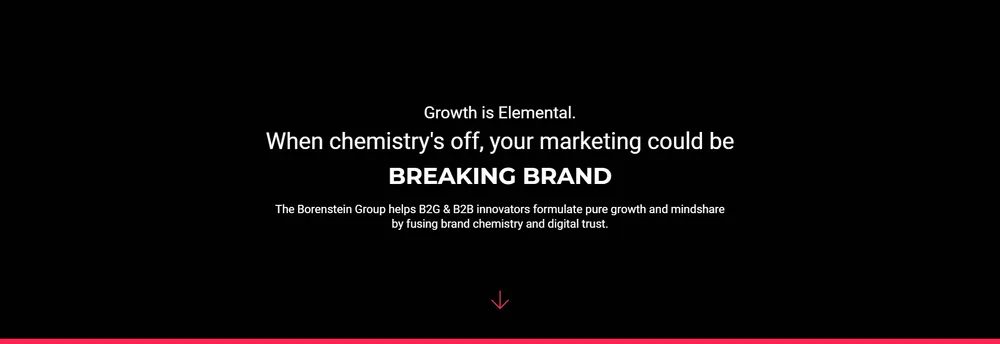 Borenstein Group, Inc. cover