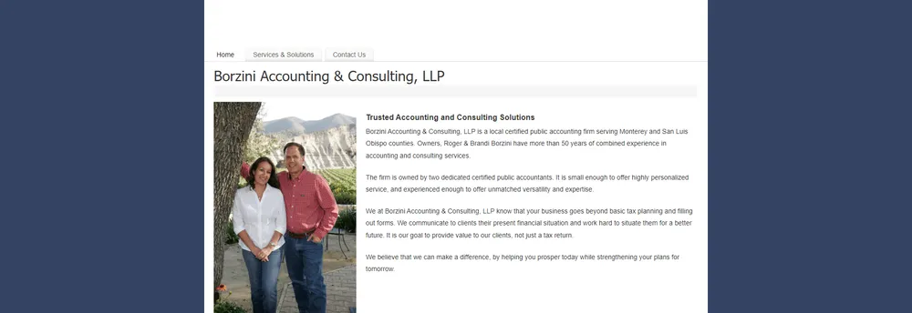 Borzini Accounting & Consulting, LLP cover