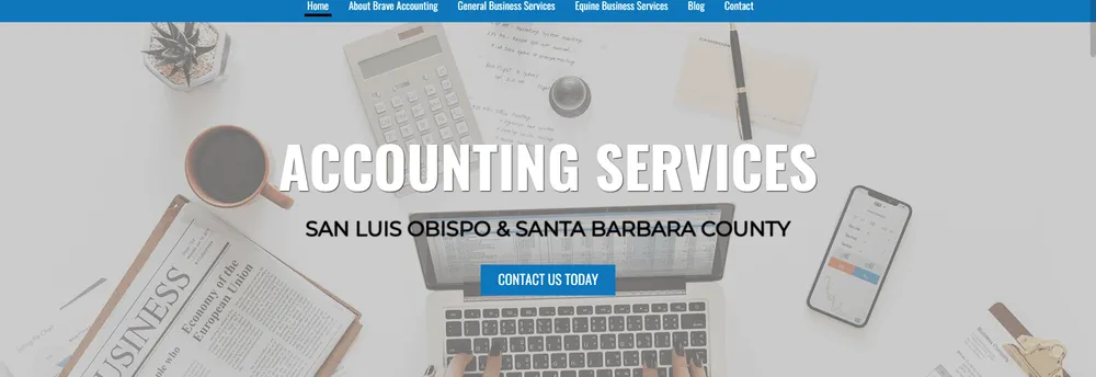 Brave Accounting cover