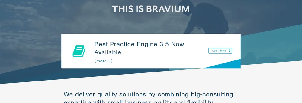 Bravium Consulting Inc. cover