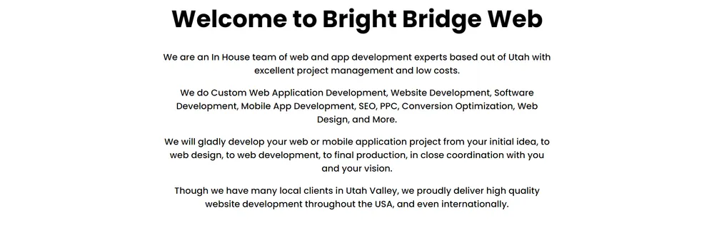 Bright Bridge Web cover