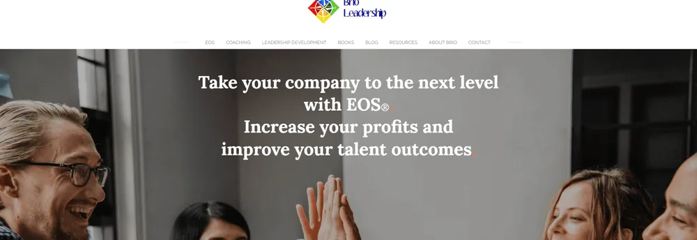 Brio Leadership cover