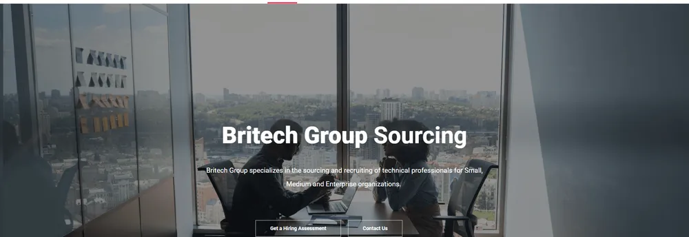 BriTech Group, Inc. cover