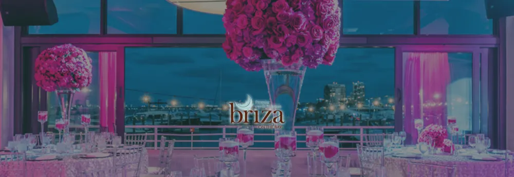 Briza on the Bay cover