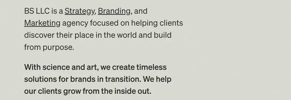 BS LLC Branding Agency cover
